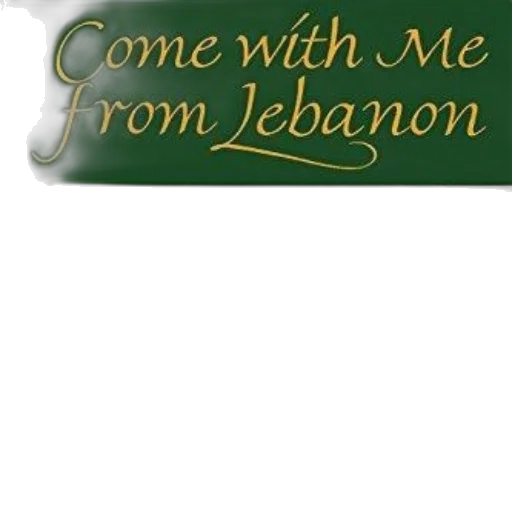 come, lebanon, american, family transparent PNG cut-out