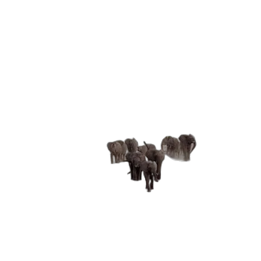 animal, hair, staff, creature transparent PNG cut-out