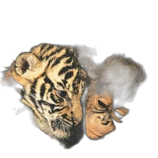 mask, animal, creature, shoes transparent PNG cut-out