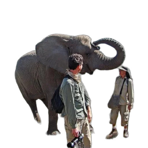 animal, creature, weapon, jacket transparent PNG cut-out