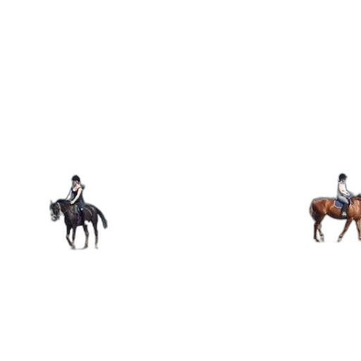 pixel art, concept art, 3d render, photorealistic transparent PNG cut-out