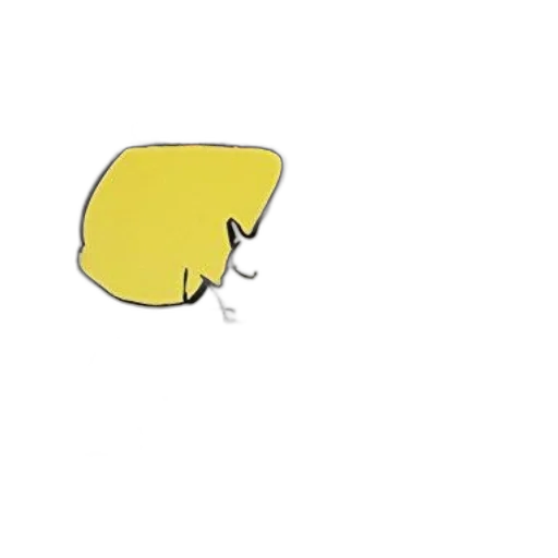 hat, hair, face, food transparent PNG cut-out