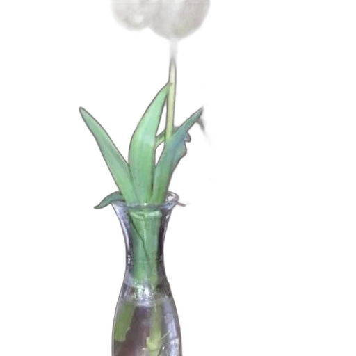bottle, flower, staff, weapon transparent PNG cut-out
