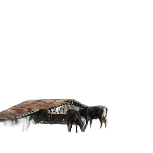 animal, hair, furniture, creature transparent PNG cut-out