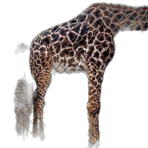 animal, creature, dragon, staff transparent PNG cut-out