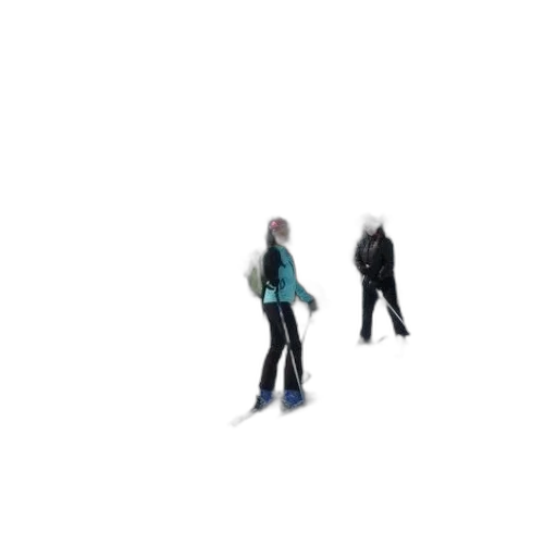 jacket, robot, staff, creature transparent PNG cut-out