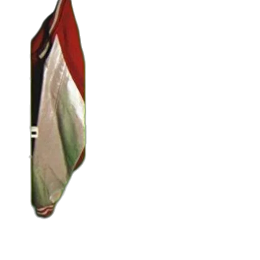 umbrella, weapon, staff, sword transparent PNG cut-out