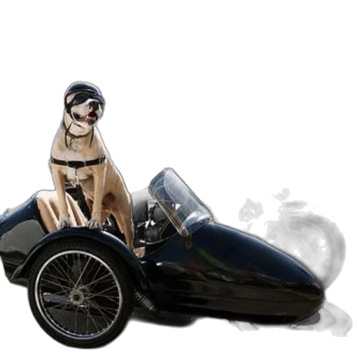 car, animal, photorealistic, concept art transparent PNG cut-out