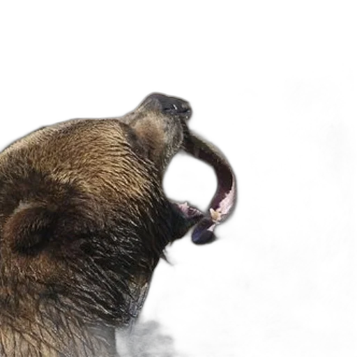 animal, staff, creature, face transparent PNG cut-out