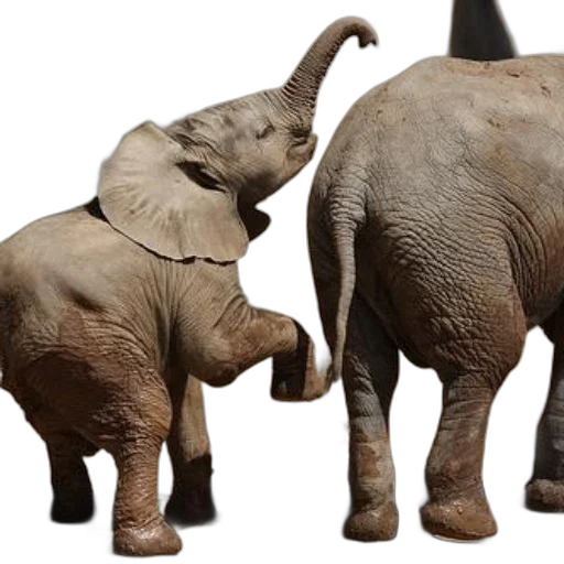 animal, 3d render, photorealistic, concept art transparent PNG cut-out