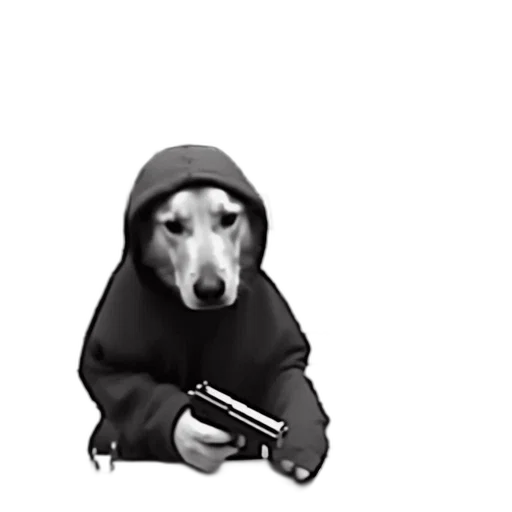 animal, weapon, staff, jacket transparent PNG cut-out