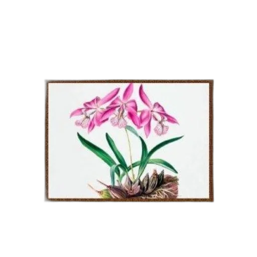 flower, jewelry, animal, crown transparent PNG cut-out
