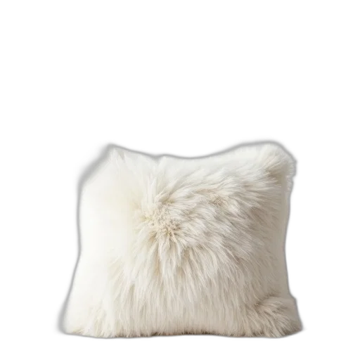 furniture, hair, crown, hat transparent PNG cut-out