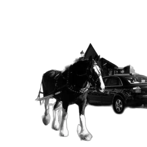 car, animal, staff, robot transparent PNG cut-out