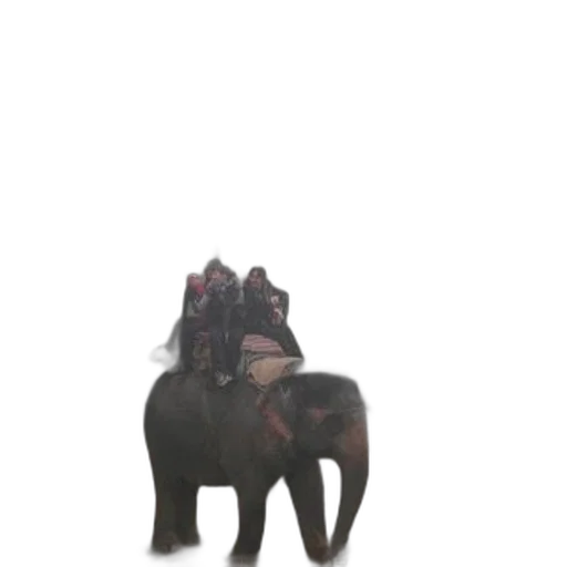 animal, creature, hat, staff transparent PNG cut-out