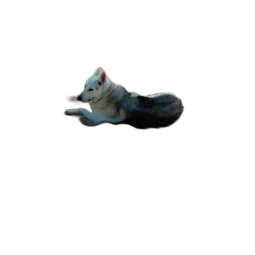 animal, creature, staff, dragon transparent PNG cut-out