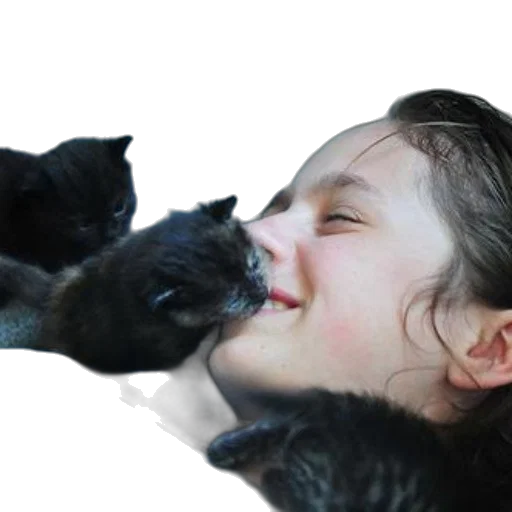 animal, face, creature, mask transparent PNG cut-out