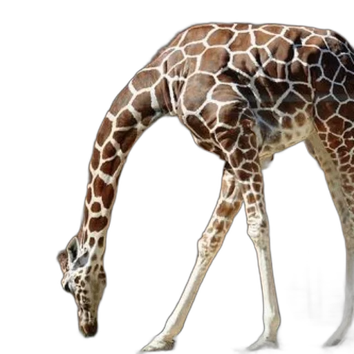 animal, creature, weapon, staff transparent PNG cut-out