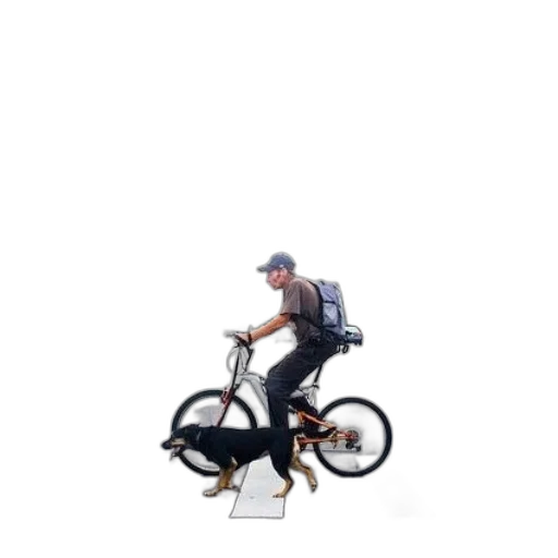 animal, creature, car, robot transparent PNG cut-out