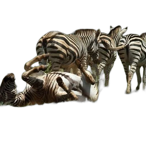 animal, jewelry, 3d render, concept art transparent PNG cut-out