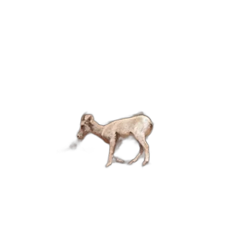 animal, creature, jewelry, furniture transparent PNG cut-out