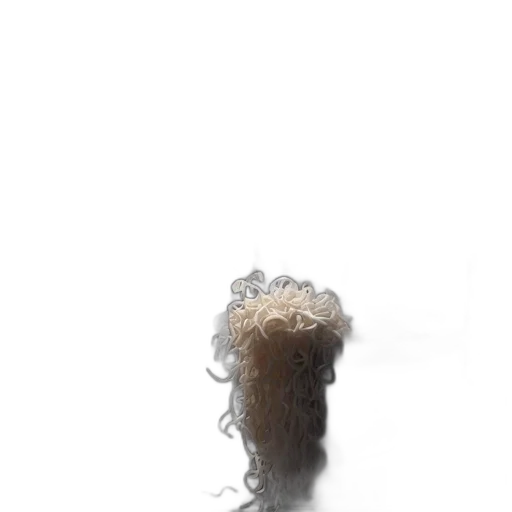 hair, hat, crown, staff transparent PNG cut-out