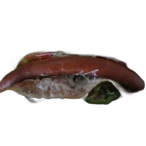 food, animal, face, creature transparent PNG cut-out