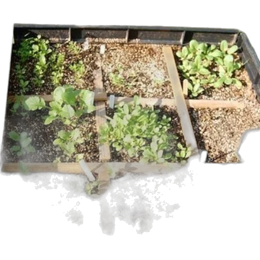 earth tones, raised, garden, bed transparent PNG cut-out