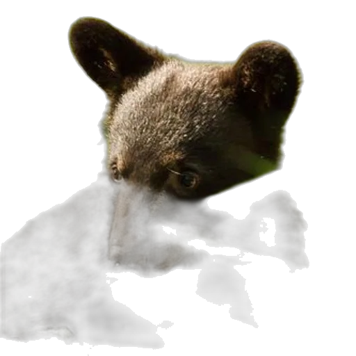 animal, creature, mask, face transparent PNG cut-out