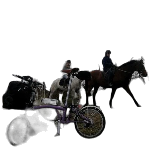 animal, car, staff, concept art transparent PNG cut-out