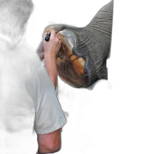 mask, hat, creature, hair transparent PNG cut-out