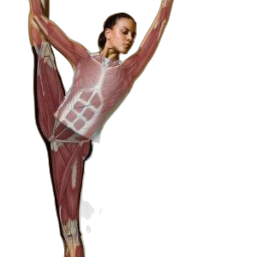 staff, concept art, photorealistic, kinesiology transparent PNG cut-out