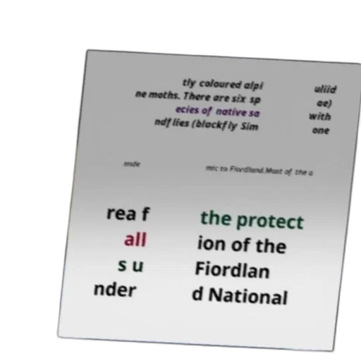 mask, image, contains, text transparent PNG cut-out