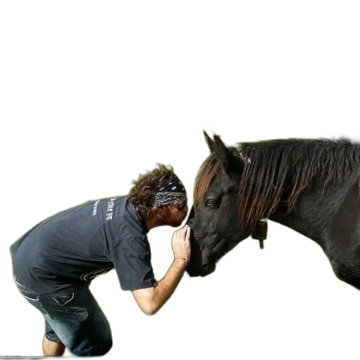 animal, creature, staff, hair transparent PNG cut-out