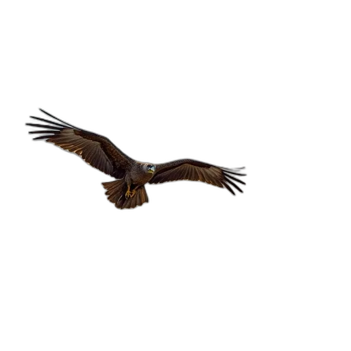 animal, creature, staff, jacket transparent PNG cut-out