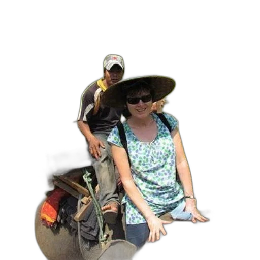 hat, staff, jacket, dress transparent PNG cut-out