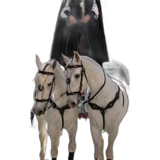 animal, mask, hat, staff transparent PNG cut-out