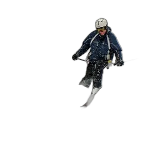 jacket, staff, umbrella, animal transparent PNG cut-out