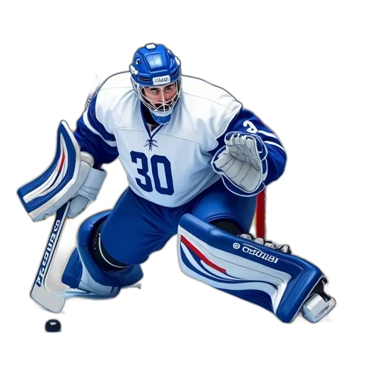 animal, digital, illustration, hockey transparent PNG cut-out