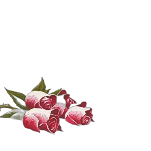 flower, crown, jewelry, weapon transparent PNG cut-out