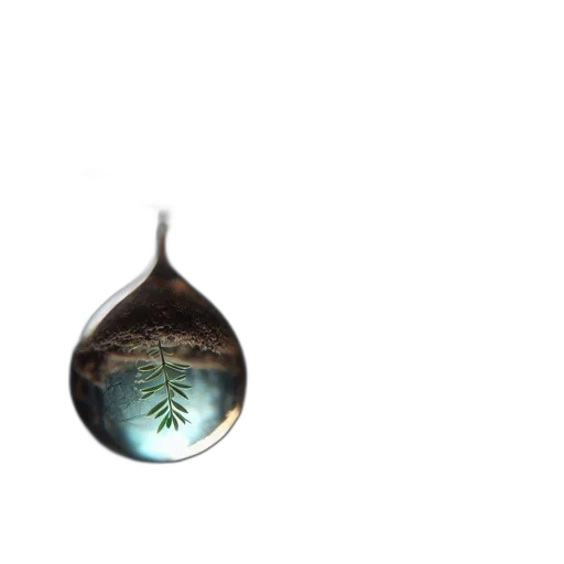 tree, jewelry, bottle, staff transparent PNG cut-out