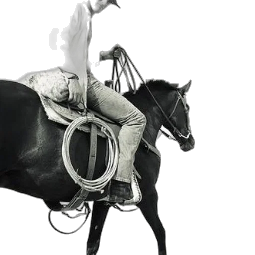 animal, jewelry, photorealistic, black transparent PNG cut-out