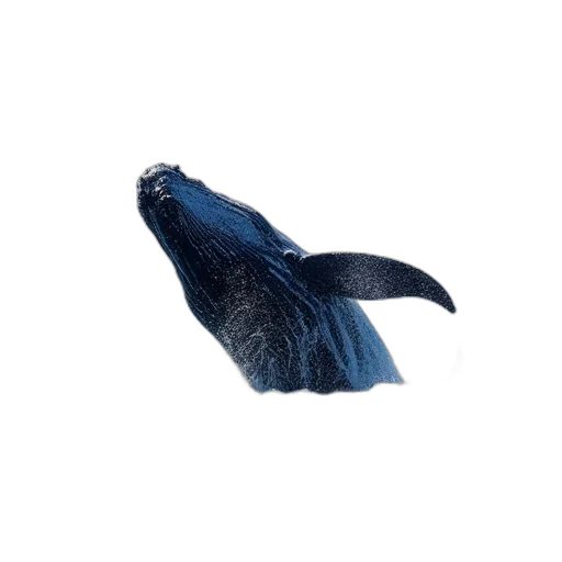 animal, creature, hair, hat transparent PNG cut-out