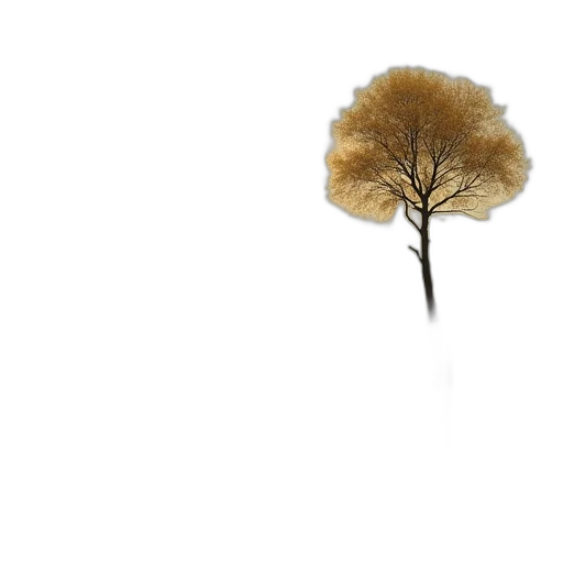 tree, umbrella, hair, hat transparent PNG cut-out
