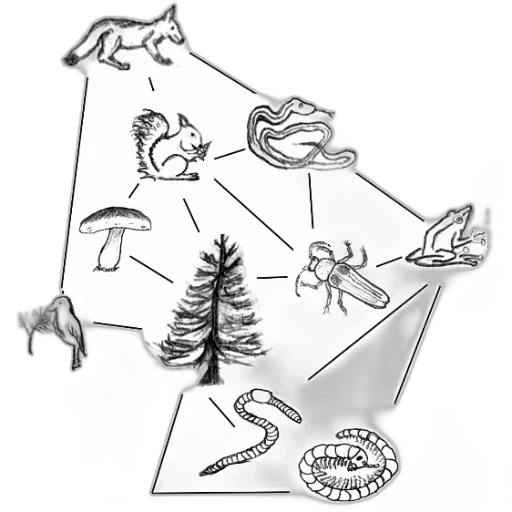 jewelry, crown, animal, dragon transparent PNG cut-out