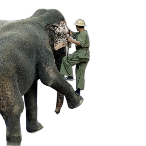 animal, creature, concept art, 3d render transparent PNG cut-out