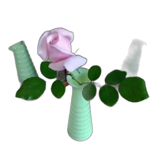 flower, weapon, staff, crown transparent PNG cut-out