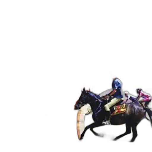 animal, sword, dragon, weapon transparent PNG cut-out