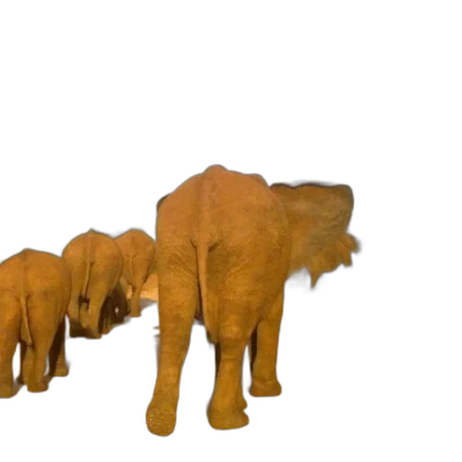 animal, creature, staff, furniture transparent PNG cut-out
