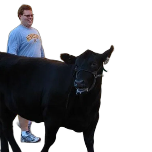 animal, creature, man, minnesota transparent PNG cut-out